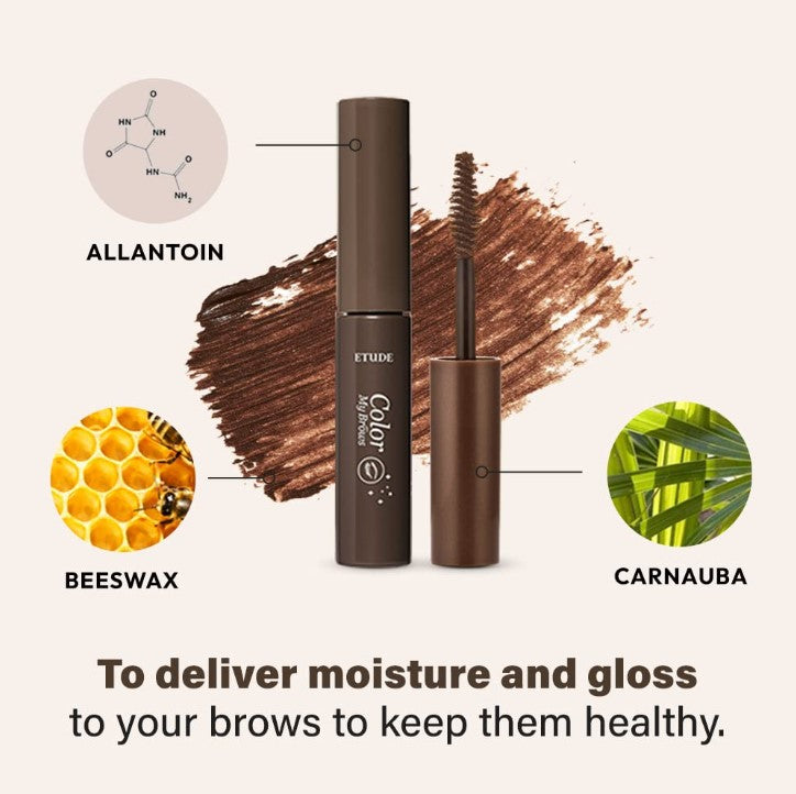 Color My Brows Rich Brown 0.15oz