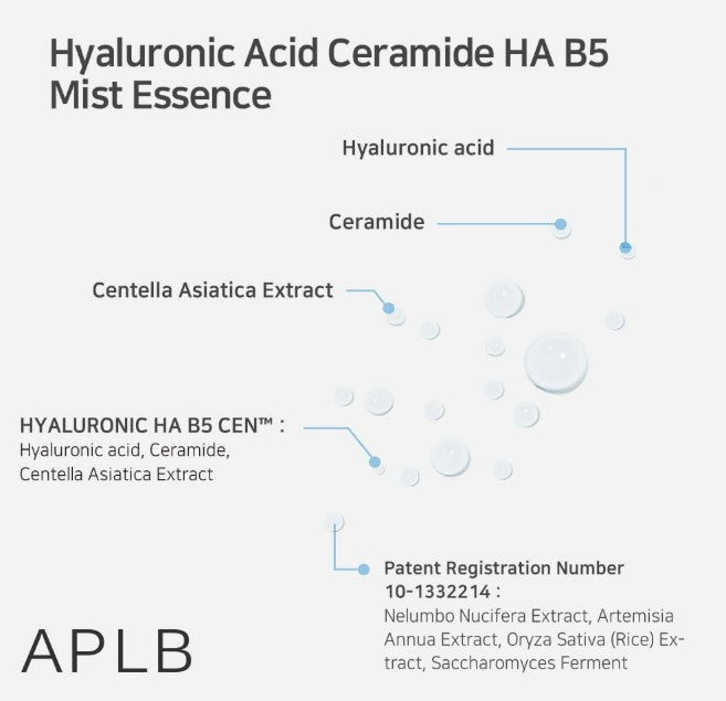 Hyaluronic Acid Ceramide HA B5 Mist Essence 105ml / 3.55 fl. oz.