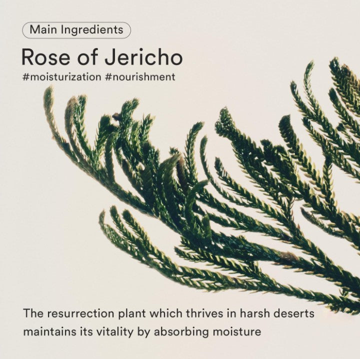 Jericho Rose Bifida Serum 50ml